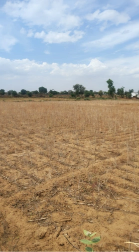 8HPR+FJ Parasrampura, Sikar, Rajasthan, India preview 2