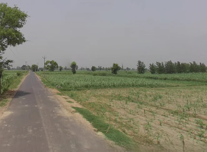 Hastinapur, Uttar Pradesh 250404, India