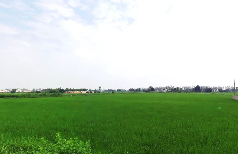 Mullanpur, Punjab 148023, India