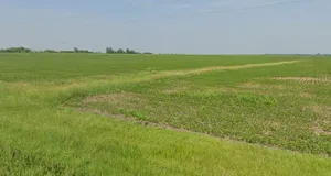 Chinor, Madhya Pradesh 475110, India preview 3