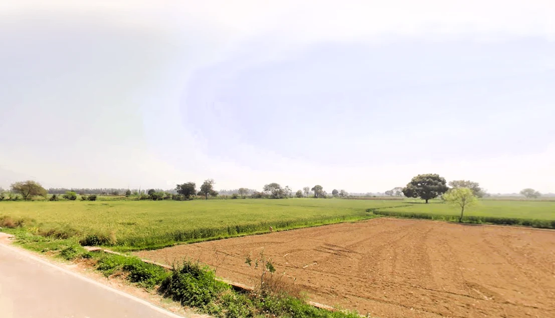 Ganaur, Haryana 131101, India