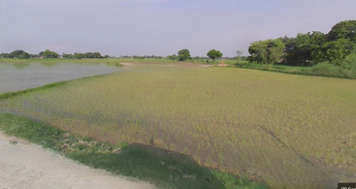 Sri Ganganagar, Rajasthan, India