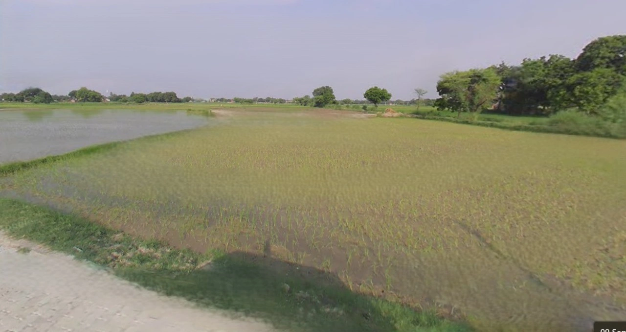 Sri Ganganagar, Rajasthan, India