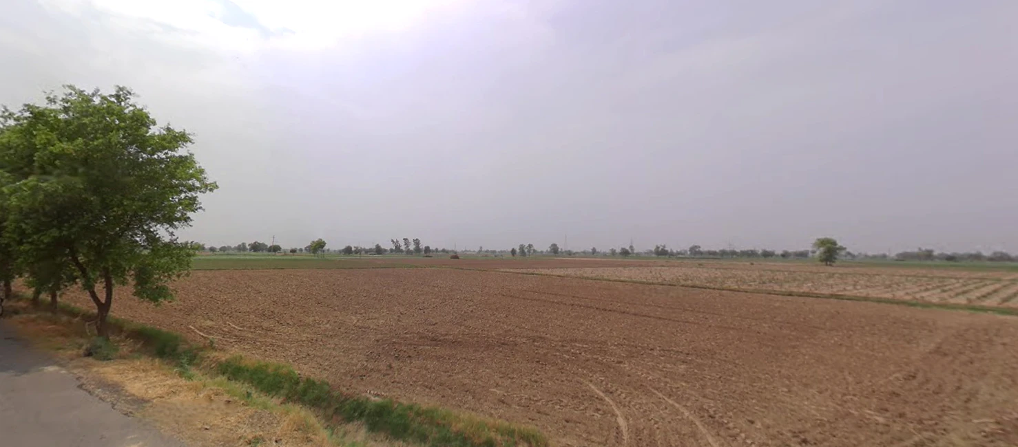 Uklana Rural, Haryana 125113, India