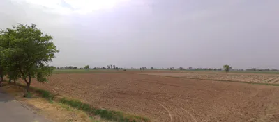 Uklana Rural, Haryana 125113, India preview 2