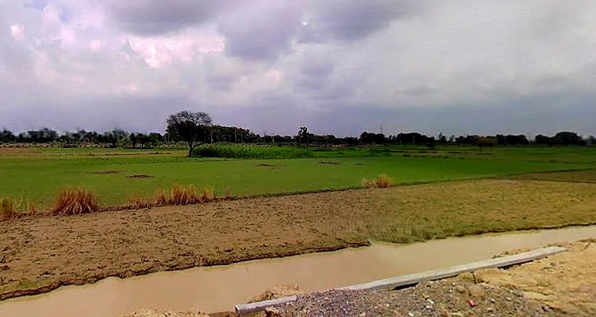 Barsana, Uttar Pradesh 281405, India