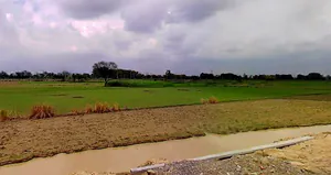 Barsana, Uttar Pradesh 281405, India preview 3