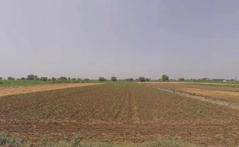 Tibra, Uttar Pradesh 201204, India preview 2