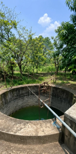 Yeola, Maharashtra 423401, India