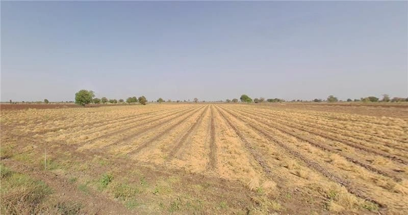 Kudasan, Gandhinagar, Gujarat, India