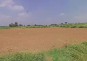 Badasirei, Puri, Odisha 752002, India preview 3