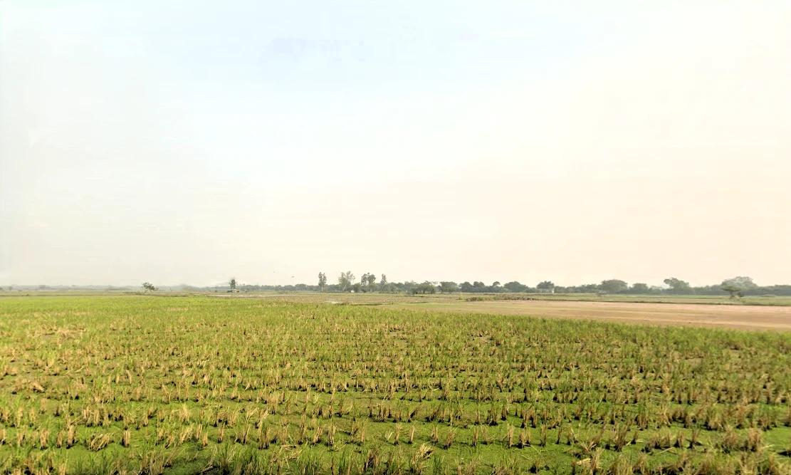 Mundka, Delhi, India