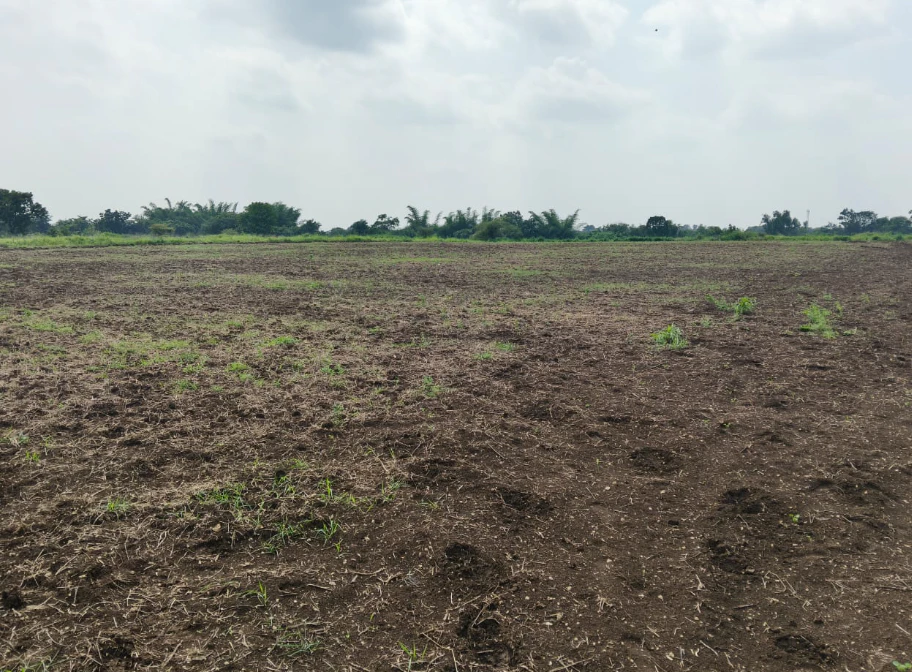 7JP8+766, Vikarabad, Antharam, Tandur, Telangana 501141, India