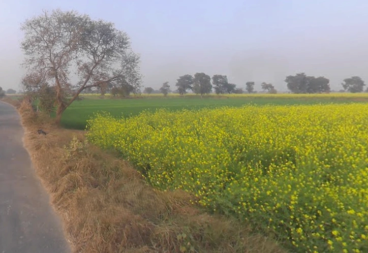 Bichpuri, Uttar Pradesh 283105, India