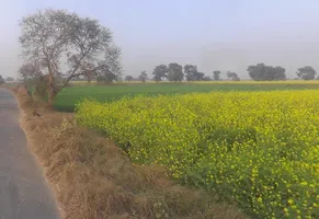 Bichpuri, Uttar Pradesh 283105, India preview 2