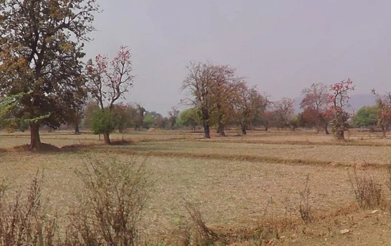 Khamtarai, Chhattisgarh 495006, India preview 2