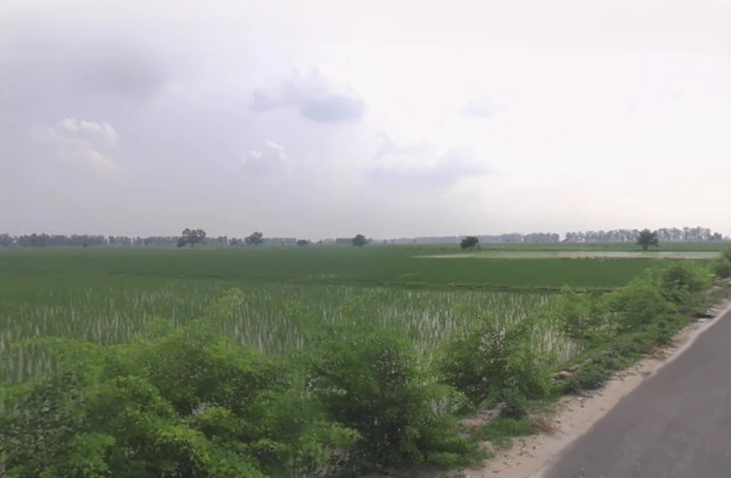 Muana, Haryana 126112, India