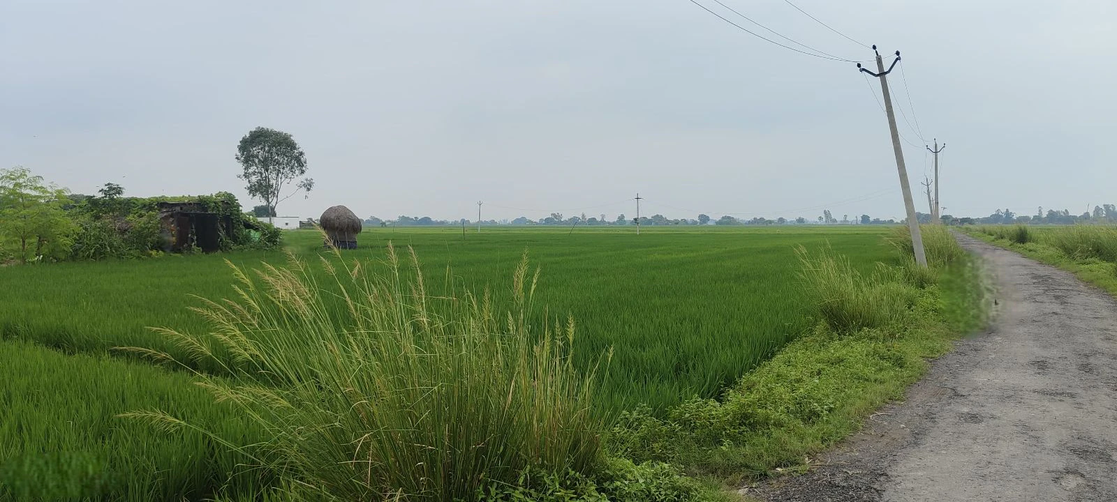 Tikar, Prayagraj, Uttar Pradesh 212306, India