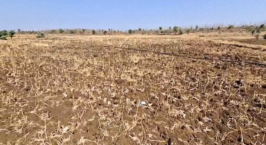 Khairnara, Madhya Pradesh, India