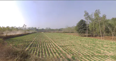 Jasmour, Uttar Pradesh, India preview 3