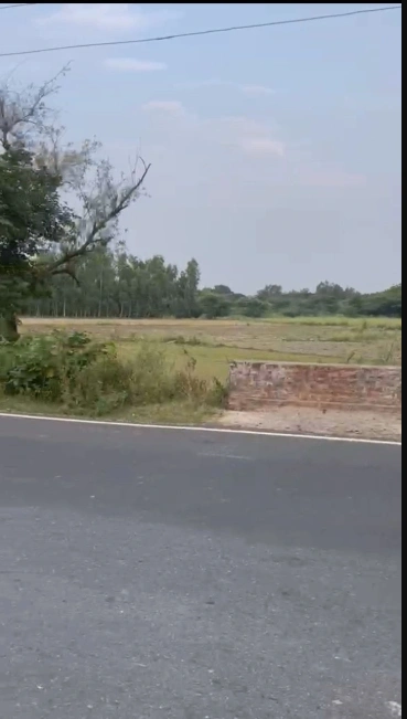 Sandila, Uttar Pradesh 241204, India