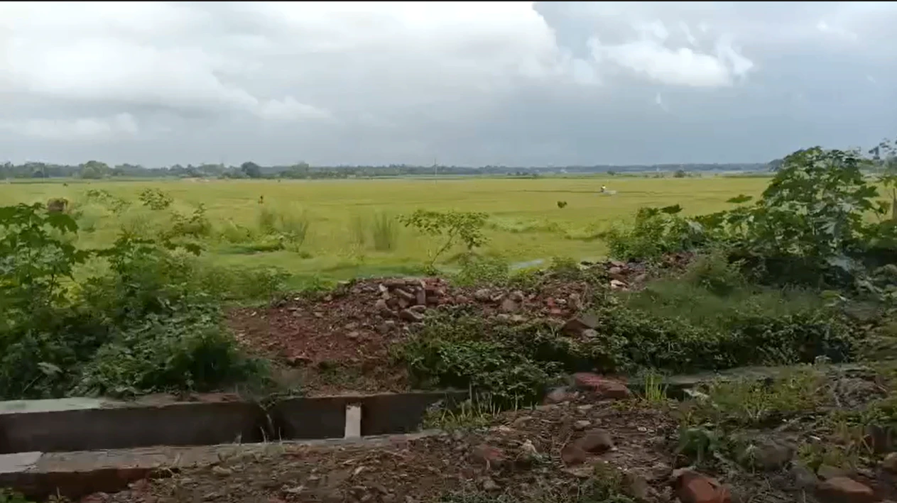H372+XV8, Panpur, Haridaspur, West Bengal 711401, India
