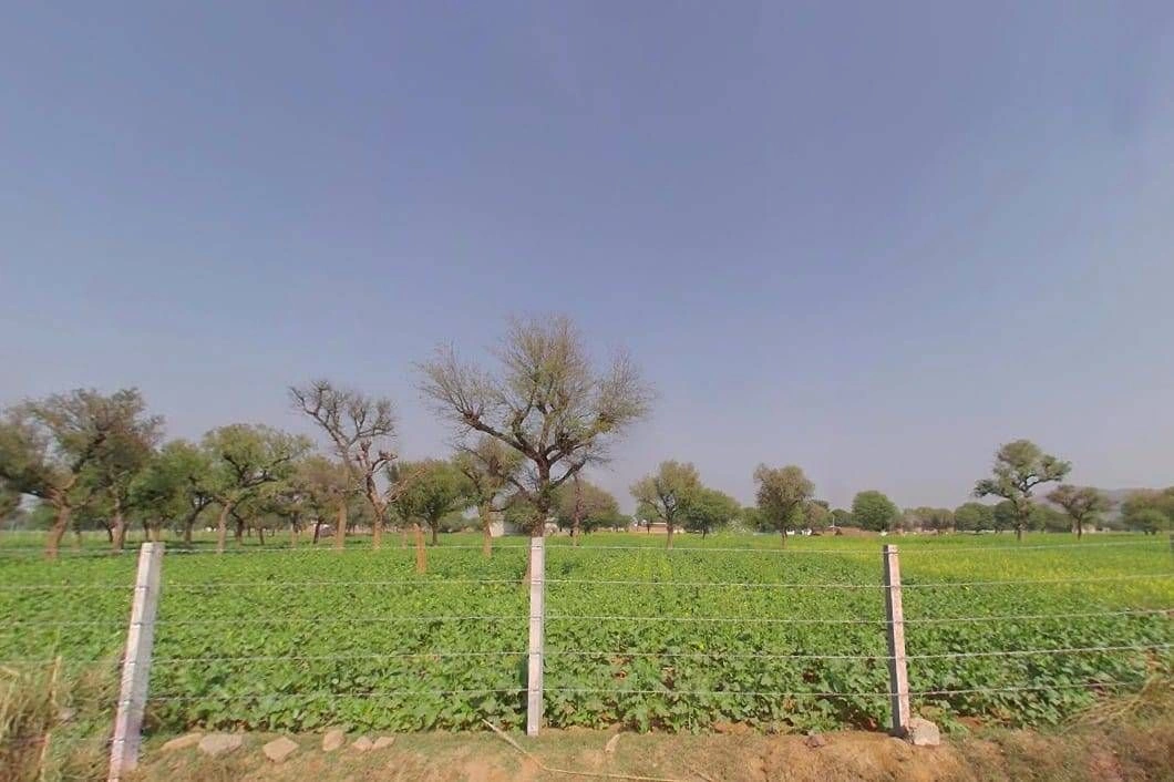 Shahpura, Rajasthan 303103, India preview 3