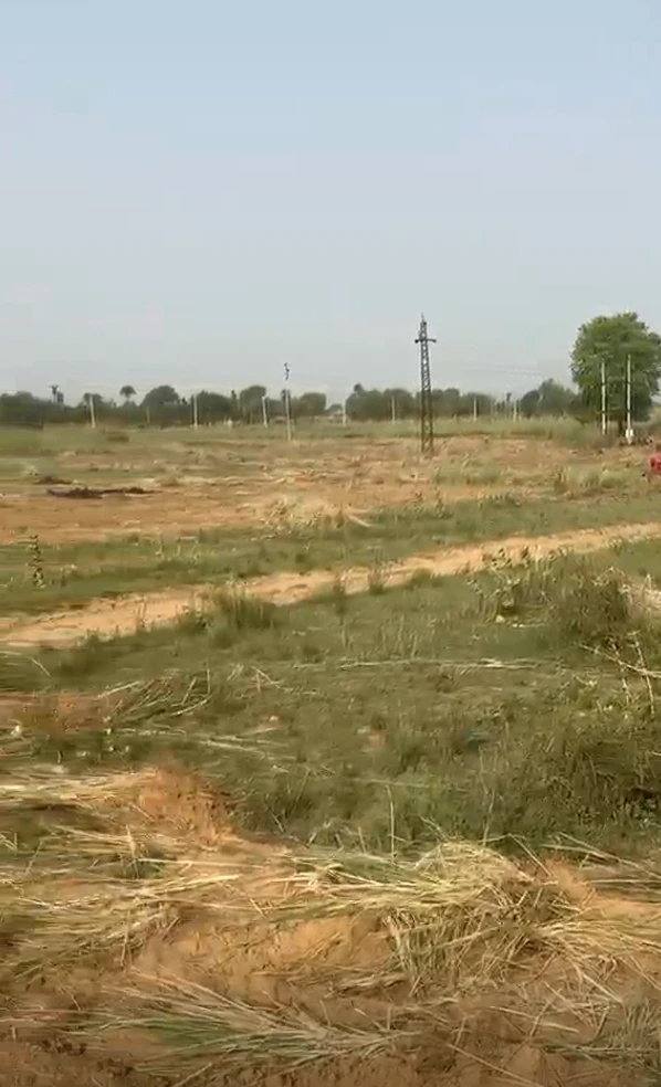 CXP7+QF5, Rampura, Rajasthan 303103, India