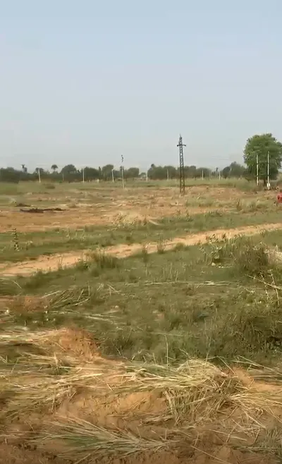 CXP7+QF5, Rampura, Rajasthan 303103, India preview 2
