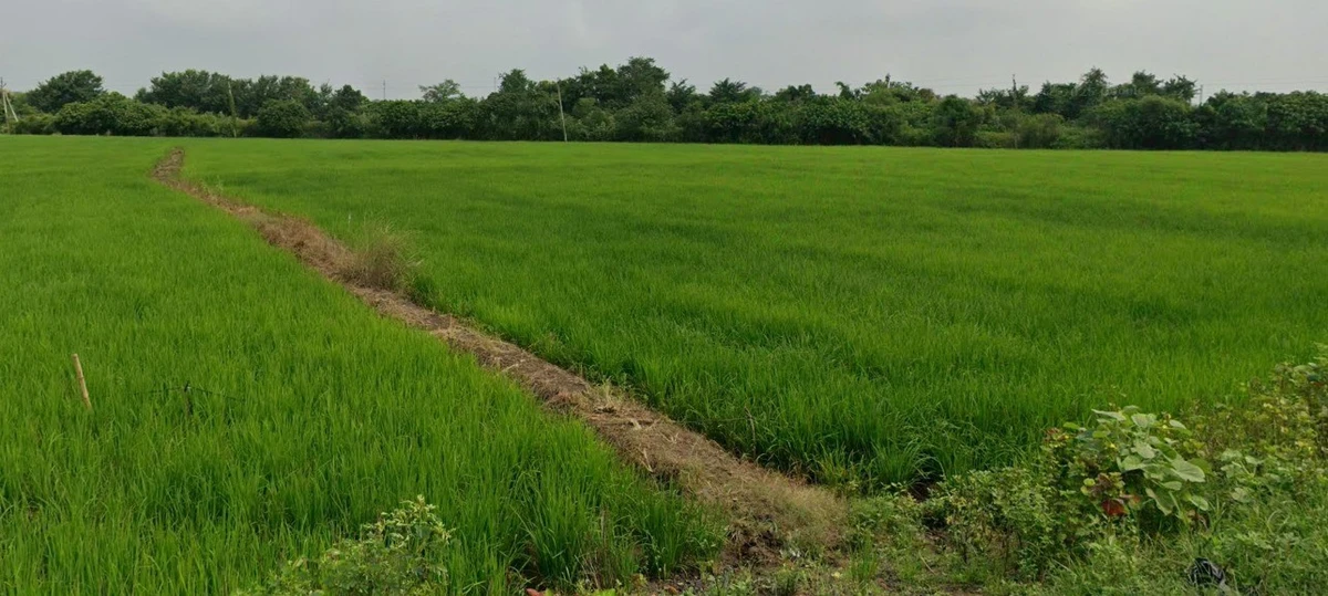 Berla, Chhattisgarh 491332, India