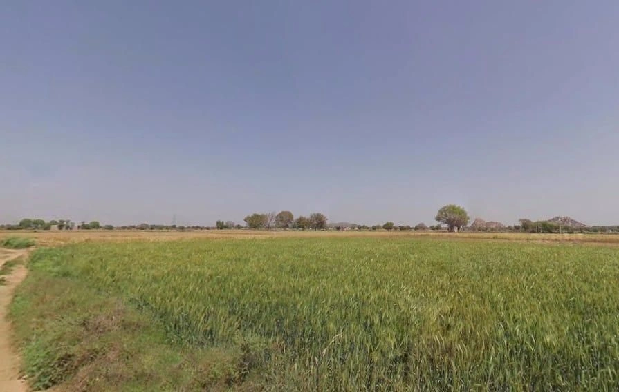 Basai Kalan, Rajasthan, India