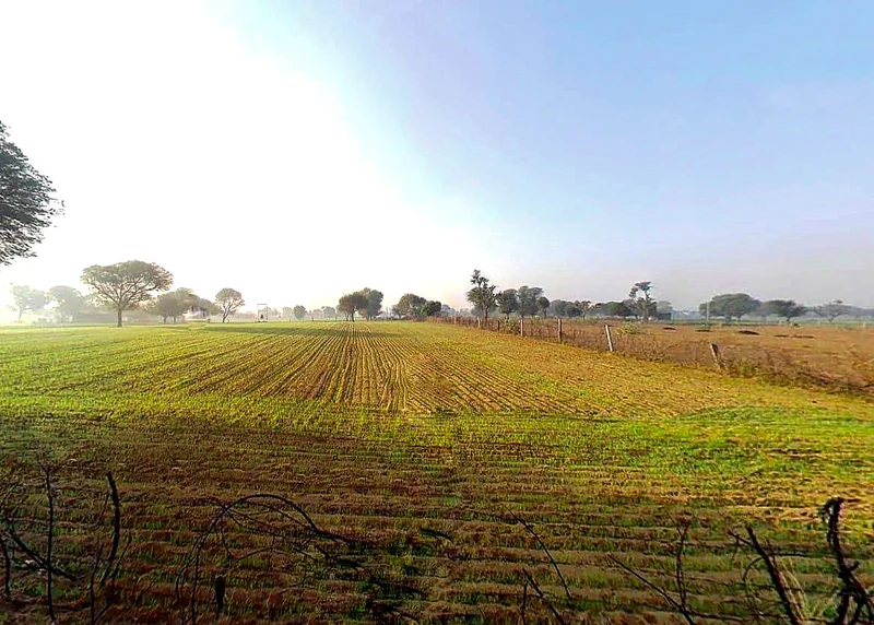 Sargoth, Rajasthan 332404, India preview 2