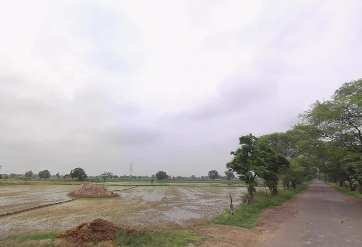 Barwala, Haryana 125121, India