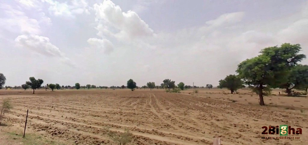 Bhanawatawala, Rajasthan 334808, India