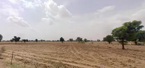 Bhanawatawala, Rajasthan 334808, India preview 3