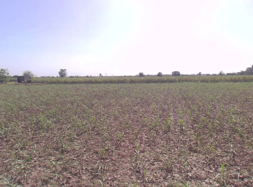 Shahbad, Haryana 136135, India