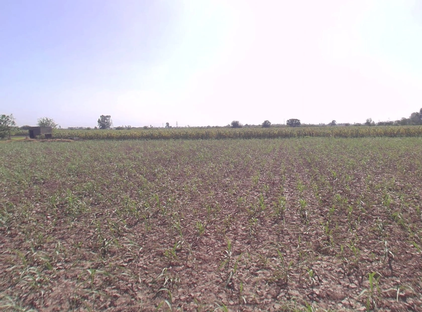 Shahbad, Haryana 136135, India