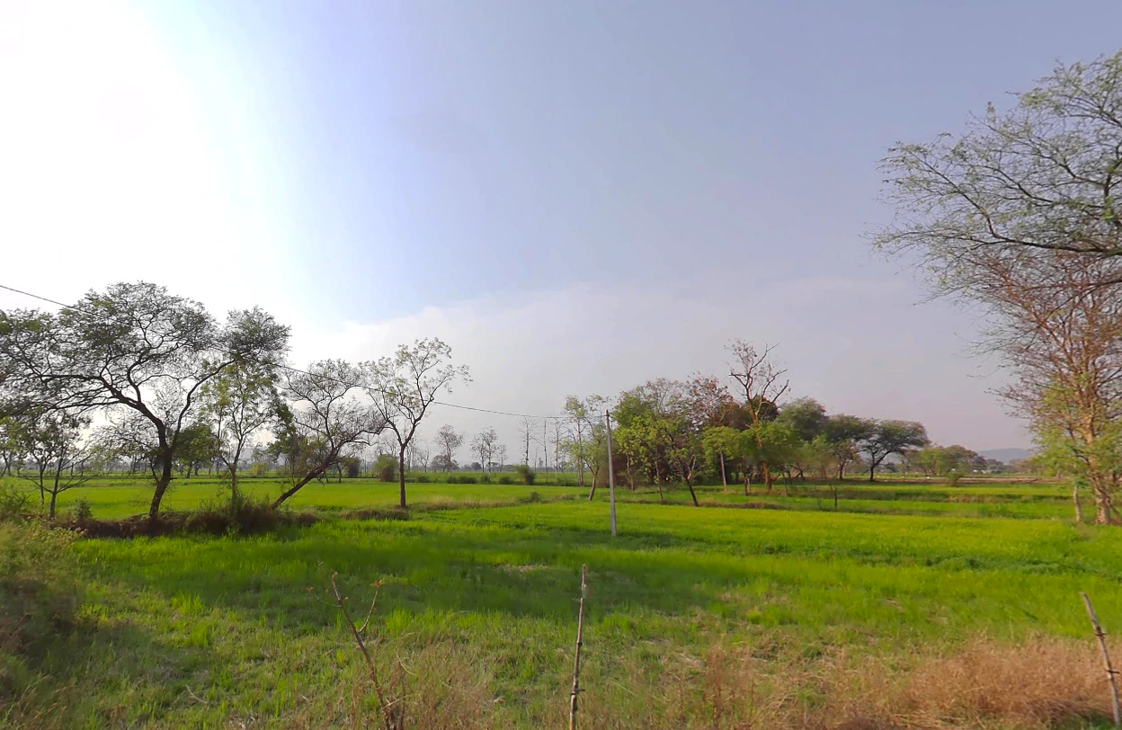 Jewara, Chhattisgarh 495554, India