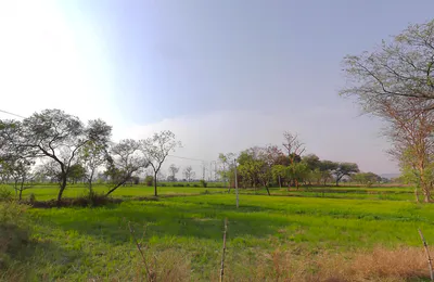 Jewara, Chhattisgarh 495554, India preview 2