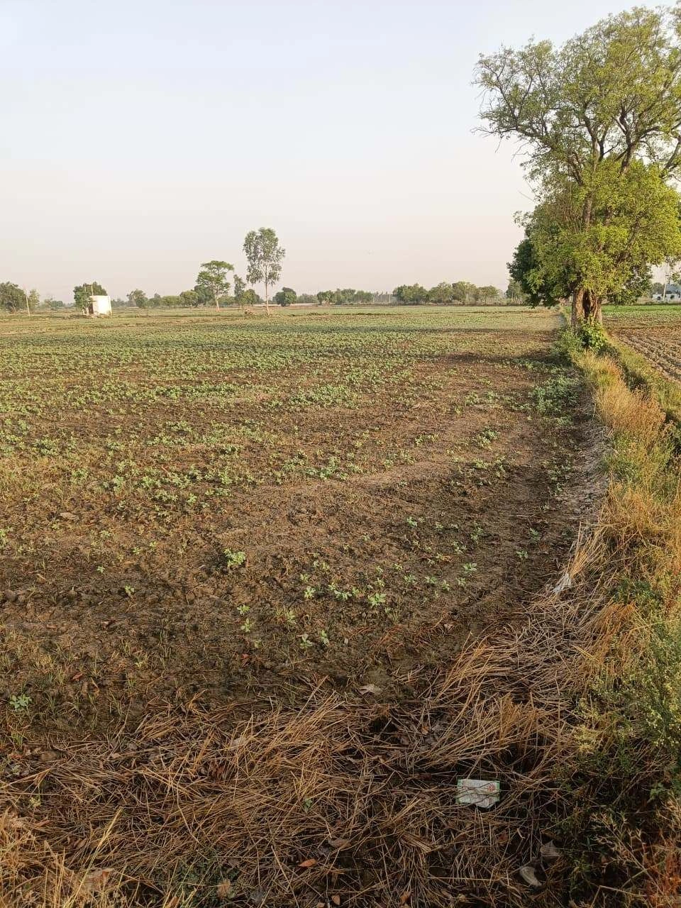 Tentigaon, Uttar Pradesh, India