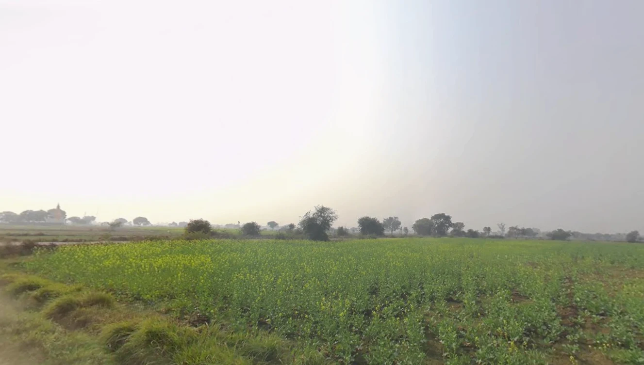 Bhagwanpur, Uttarakhand 247661, India