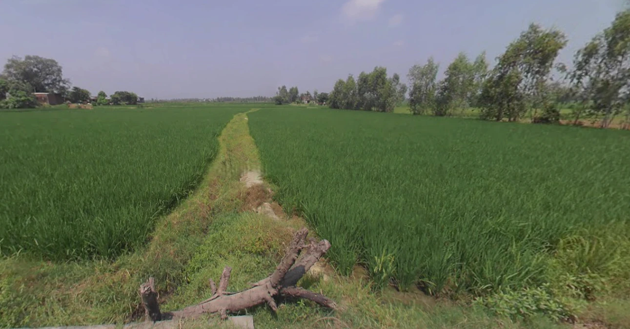 Kanth, Uttar Pradesh 244501, India