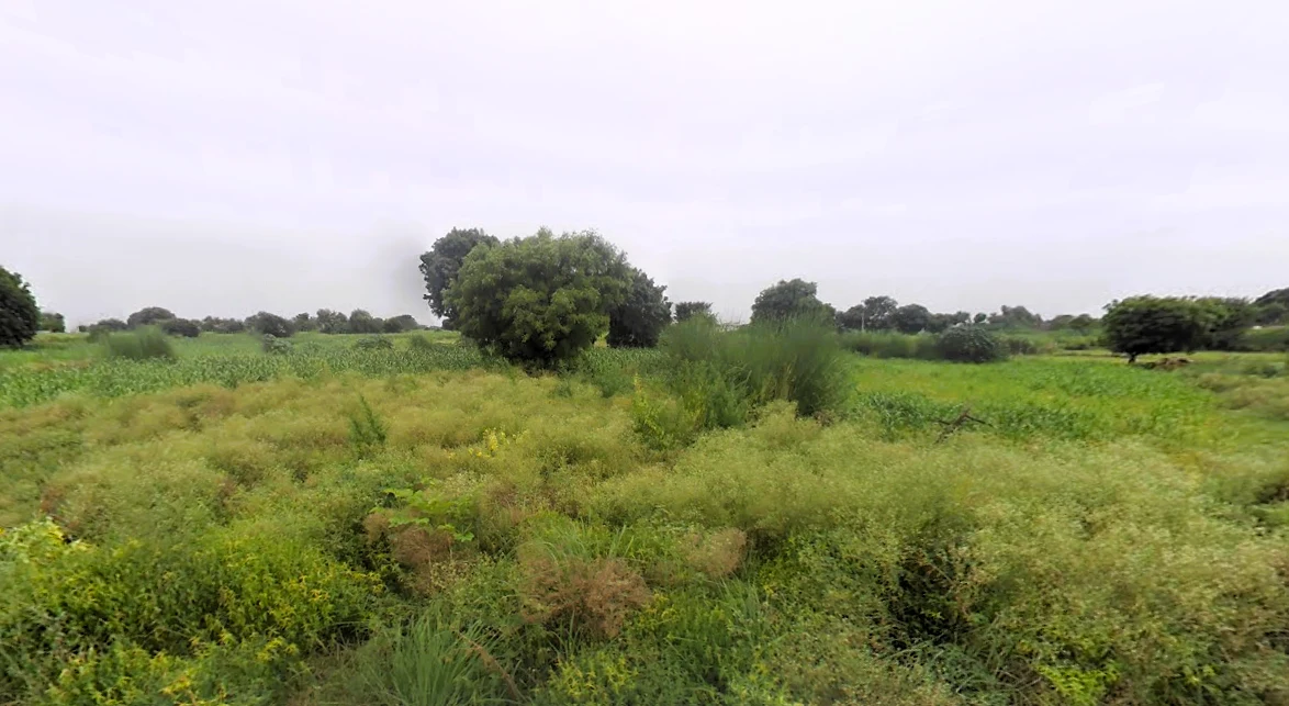 Central Park Flower Valley, J 016, Sector 32/33, Sohna, Haryana 122103, India