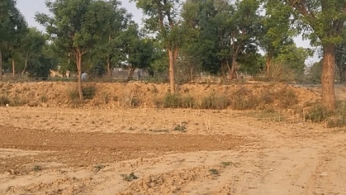8C67+47C, Lamiyan, Rajasthan, India