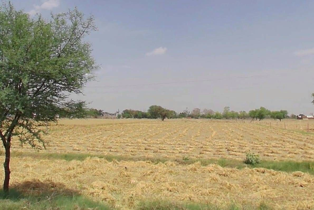 839G+MR3, Kathoomar, Rajasthan 321605, India preview 3