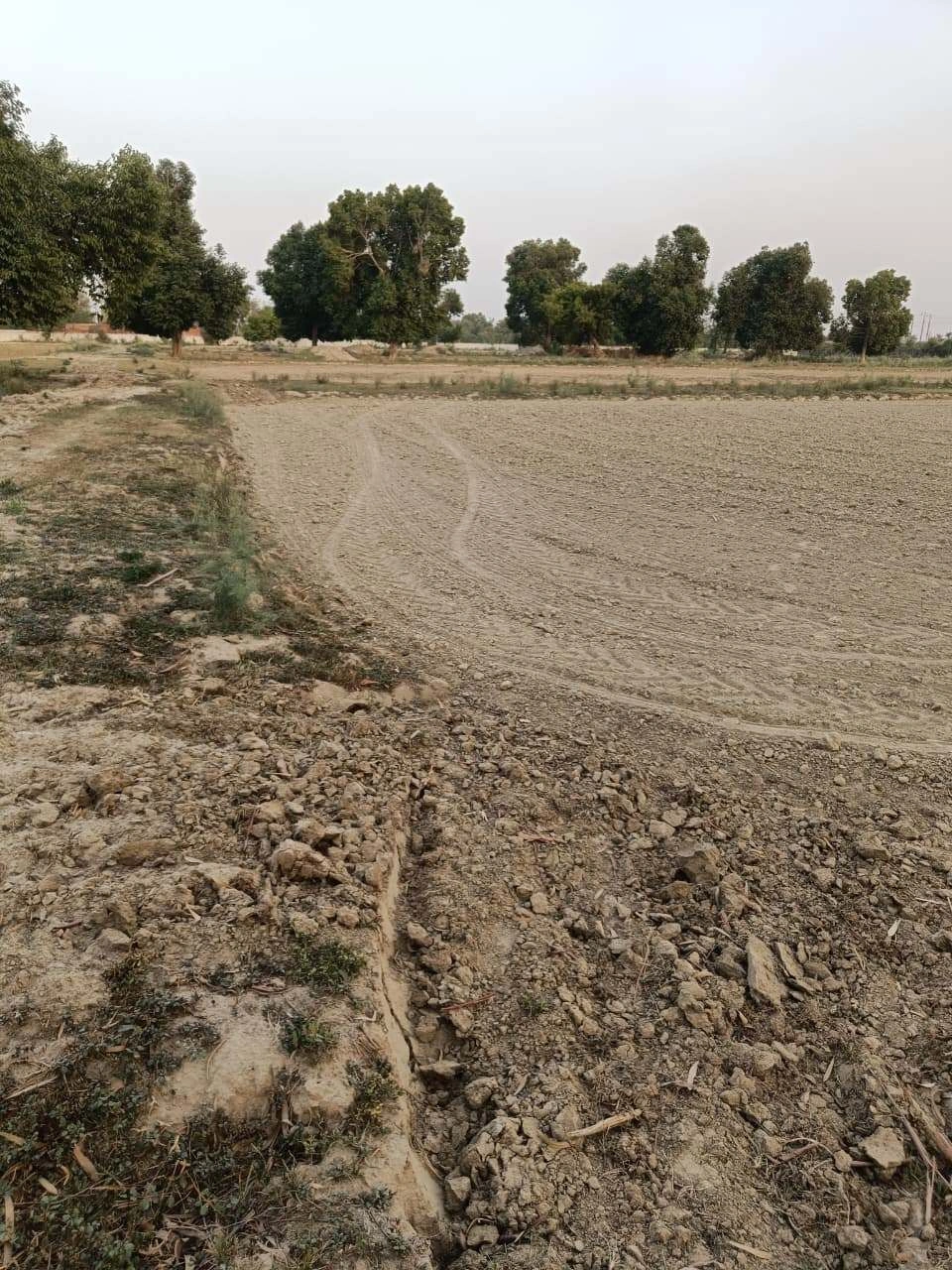 Tentigaon, Uttar Pradesh, India