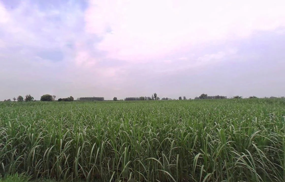 Ghatayan Uttri, Uttar Pradesh, India