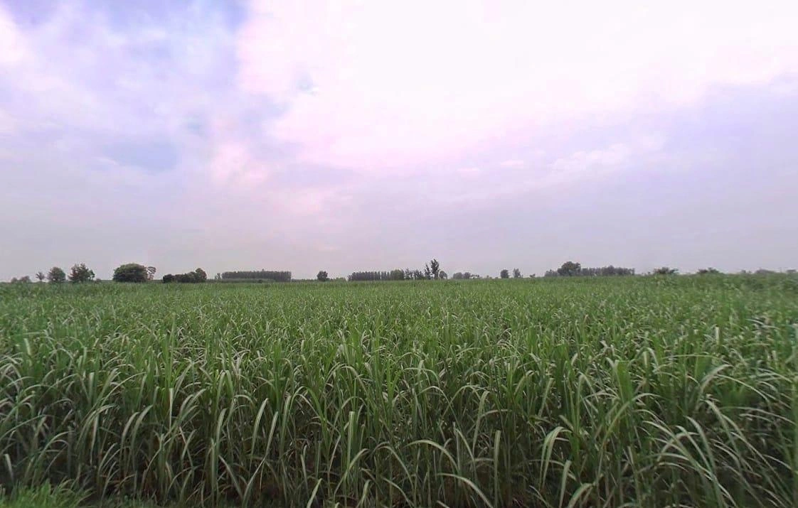 Ghatayan Uttri, Uttar Pradesh, India