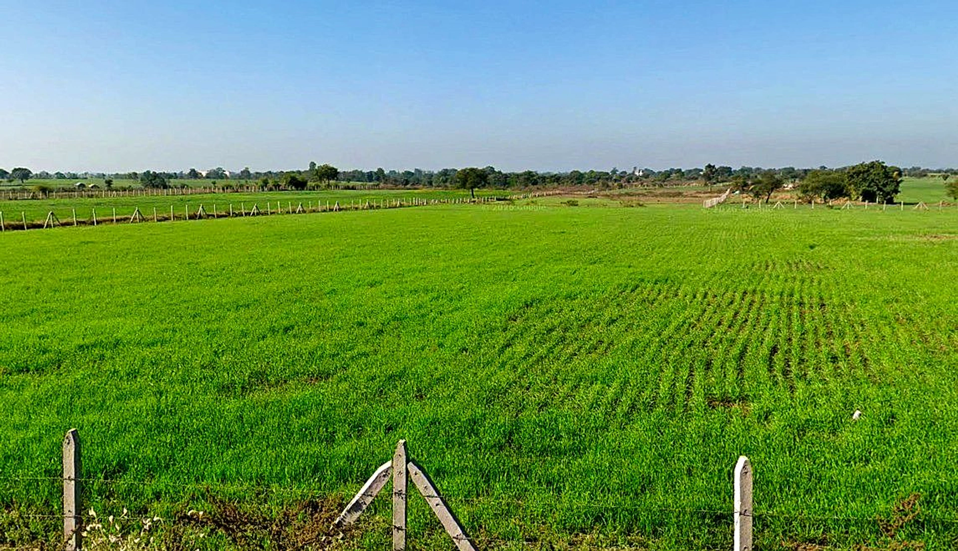 Khokhari, Madhya Pradesh 466001, India