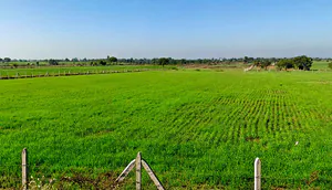 Khokhari, Madhya Pradesh 466001, India preview 2